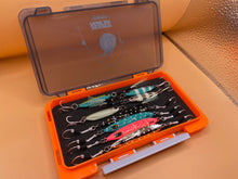 Load image into Gallery viewer, Micro Jig Case