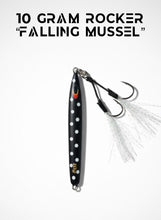 Load image into Gallery viewer, 10g Rocker